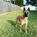 Cory McDonnell - Facebook