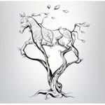 Corey McDonough - @silvertreesaddlery - Instagram