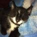 Cory McElroy - Facebook