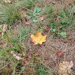 Cory McGary - @cmickg - Instagram