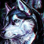 Cory Mcgee - @corymcgee08 - Instagram