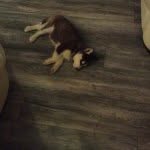 Corey Mcgowan - @cmcgowan545 - Instagram