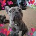 Corey McGregor - Facebook
