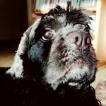 cory mcguckin - @mcguckincory - Instagram
