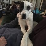 Cory mcguire - @corymcguire6 - Instagram