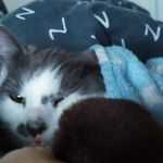 Corey Mckee - @corey.mckee.5876 - Instagram
