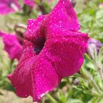 Cory McKenzie - @mainephotographer1334 - Instagram
