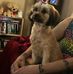 Cory Mckibben - Facebook