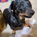 Cory McKinley - Facebook