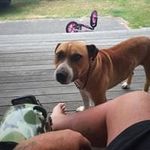 Cory McKinnon - @corymckinnon7 - Instagram