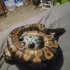 Korey McKnight - @korey.mcknight - TikTok