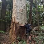 Corey McMaster - @mcmaster_corey - Instagram