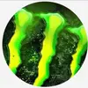 corymcneil150 - @corymcneil150 - TikTok