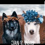 cory mcpeak - @corymcpeak - Instagram