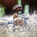 Corey McVay - @corey.mcvay - Instagram