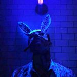 Corey Meister - @coreysmthmeister - Instagram