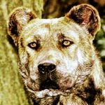 Cory Mellinger - @mellingercory - Instagram