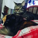 Cory Mellinger - @corymellinger - Instagram
