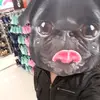 Cory Mellon - @corymellon0 - TikTok