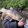 Cory Messer - @cory.messer1 - TikTok