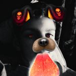 Cory Metz - @cory.metz - Instagram