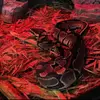 corymetzger2007 - @lesleytheballpython - TikTok