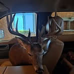 Cory Meyer - Facebook