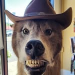 Cory Meyers - @informationsickness - Instagram
