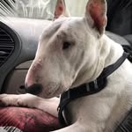 Cory Mike - @corymike367 - Instagram