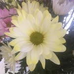 Cory Mike Keeney - @corymikekeeney - Instagram