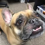 Mike Cory - @corymike222 - Instagram