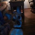 Corey Minton - @corey.minton.9 - Instagram