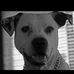 Cory Minton - Facebook