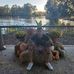 Corey Mitchell - Facebook