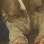 Cory Momtgomery - @corymontgomery3291 - Instagram