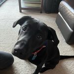 Cory Moyer - @cmoyer68 - Instagram