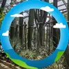 coryng3 - @coryng3 - TikTok