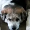 corynickell - @corynickell - TikTok