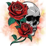 Corey Noyes - @noyescorey37 - Instagram