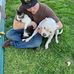 Corey Oakes - Facebook