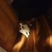 Corey Oakes - Facebook