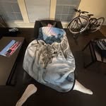 Cory Ochoa - @wckby - Instagram