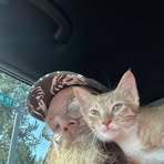 Cory Osgood - Facebook