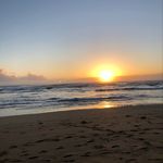 Cory Oswald - @coryoswald_ - Instagram
