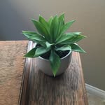 Cory Otto - @abeautiful.messylife - Instagram