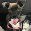 corypalmer221 - @corypalmer221 - TikTok