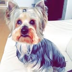 Cory Parra - @cory_parra - Instagram