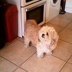 Thomas James Parry - @cory.parry.10 - Instagram