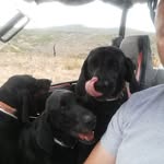 Cory Payne - @cory.payne.773 - Instagram