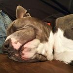 Corey Peacock - @peacock_corey - Instagram